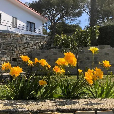 Bed and breakfast Il Lampin 3*