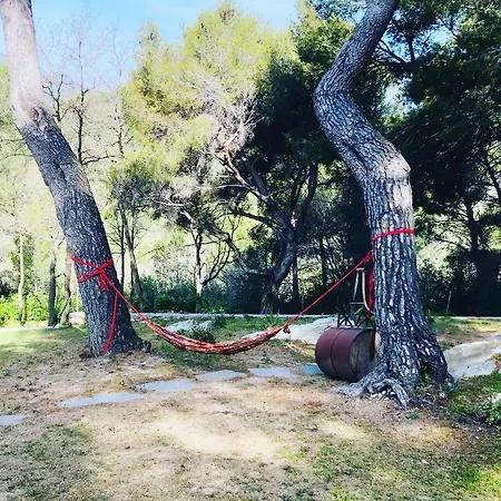 ベッド・アンド・ブレックファスト Il Lampin Marina dʼAndora