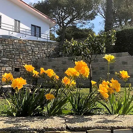 Il Lampin Bed & Breakfast 3*